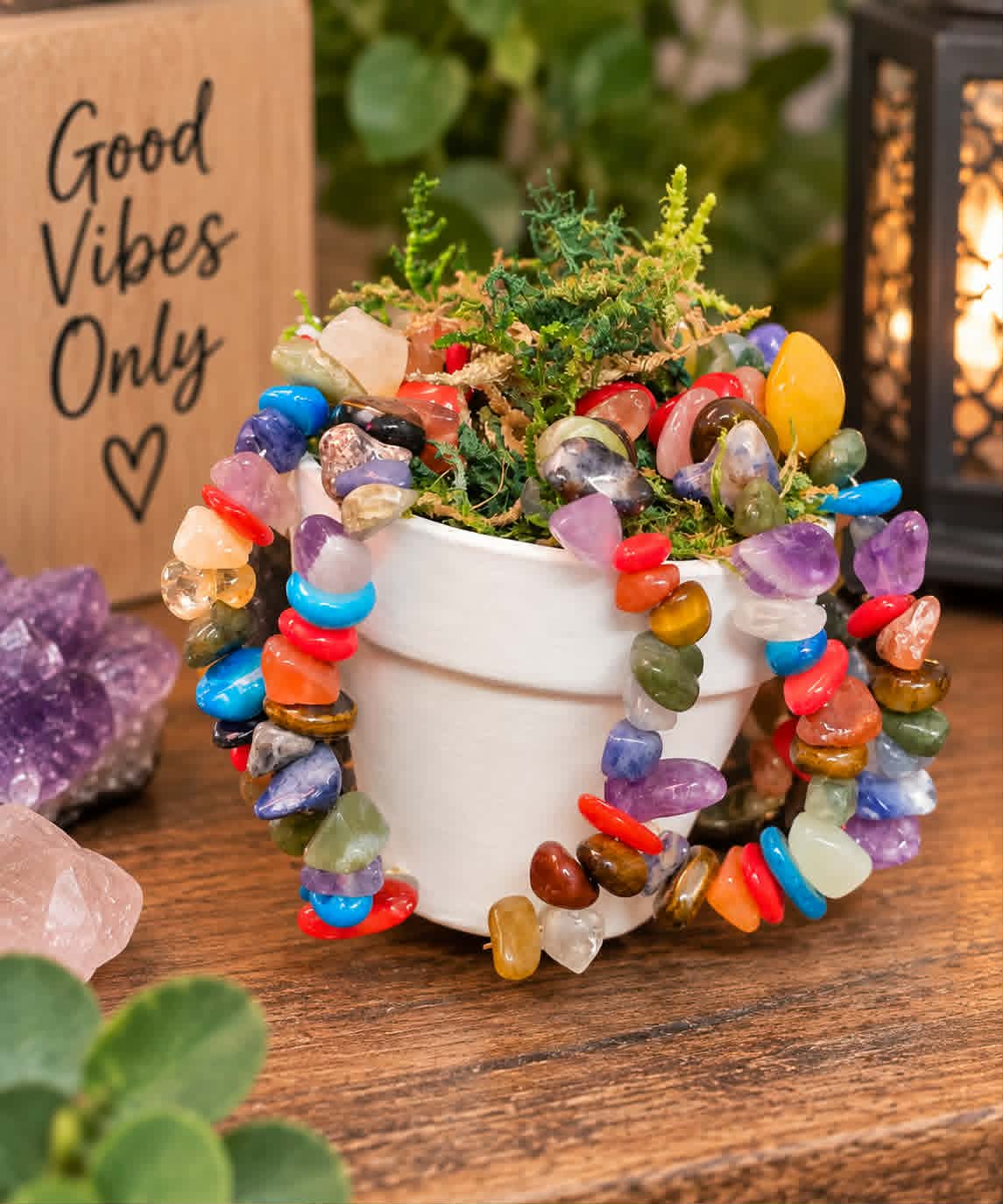 🌈 Chakra Crystal Plant Magnet 🪴