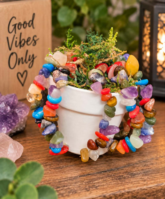 🌈 Chakra Crystal Plant Magnet 🪴